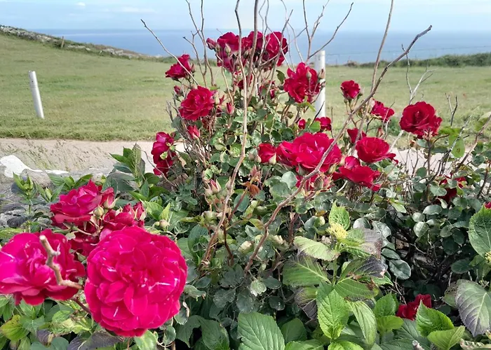 Ecrin De Tranquillite - Centre Village Pensjonat Barneville-Carteret