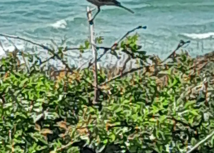 Ecrin De Tranquillite - Centre Village Pensjonat 4*