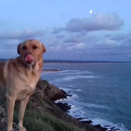 Ecrin De Tranquillite - Centre Village Барнвиль-Картере