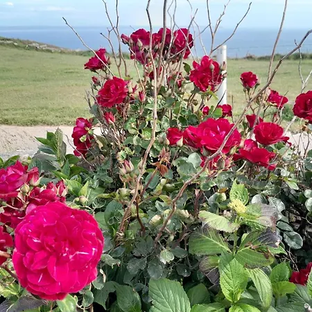 Ecrin De Tranquillite - Centre Village Гостевой дом Барнвиль-Картере