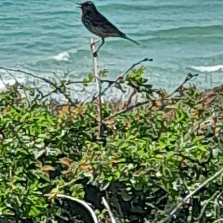 Ecrin De Tranquillite - Centre Village Гостевой дом 4*