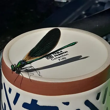 Ecrin De Tranquillite - Centre Village Гостевой дом Барнвиль-Картере