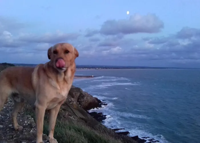 Ecrin De Tranquillite - Centre Village Barneville-Carteret