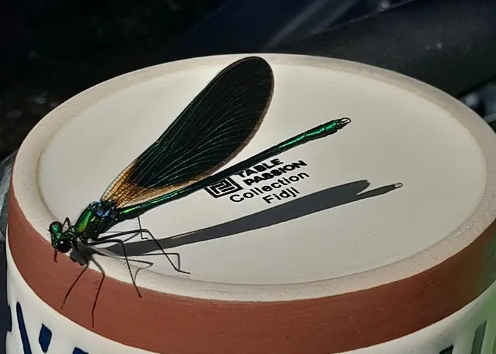 Ecrin De Tranquillite - Centre Village Guest house Barneville-Carteret